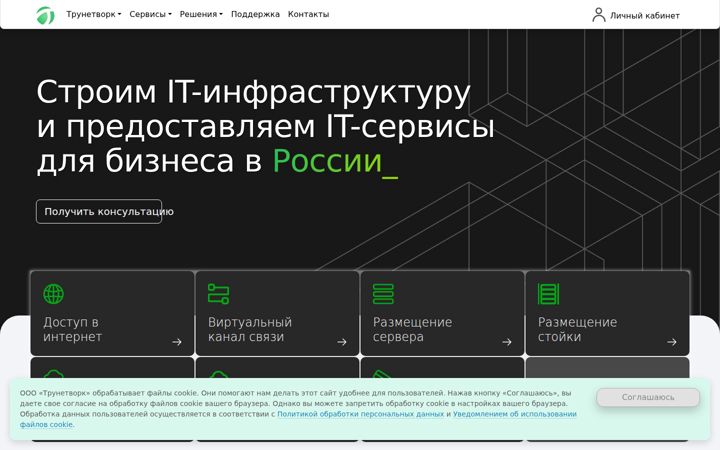 truenetwork.ru