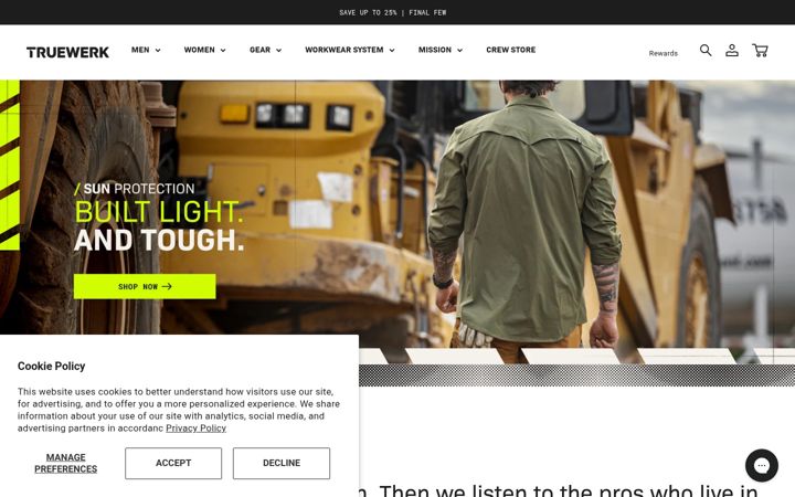 Screenshot of truewerk.com