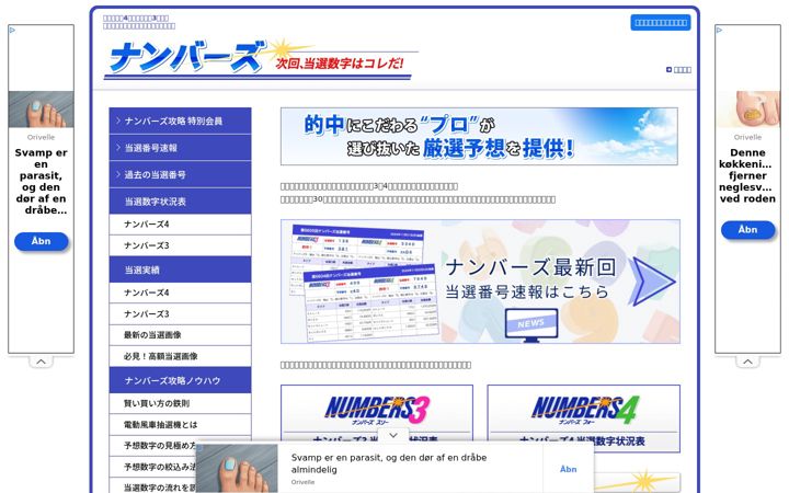 Screenshot of ts4-net.com