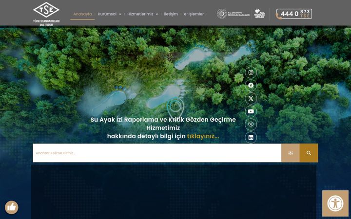 Screenshot of tse.org.tr