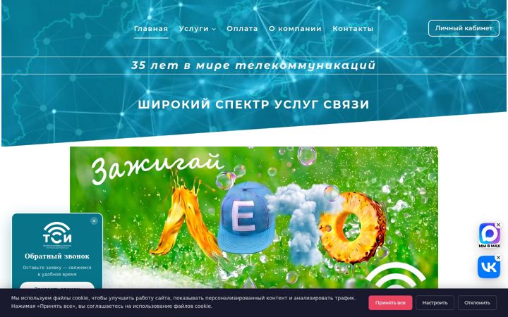 Екранна снимка на tsinet.ru