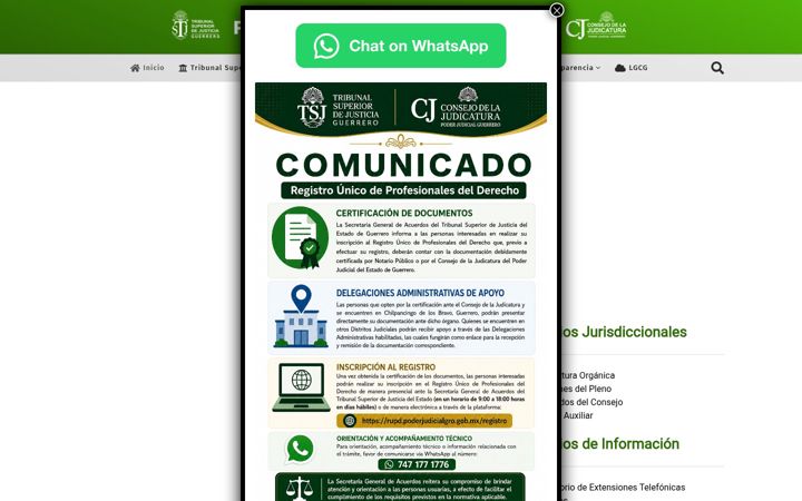 Screenshot stránky tsj-guerrero.gob.mx