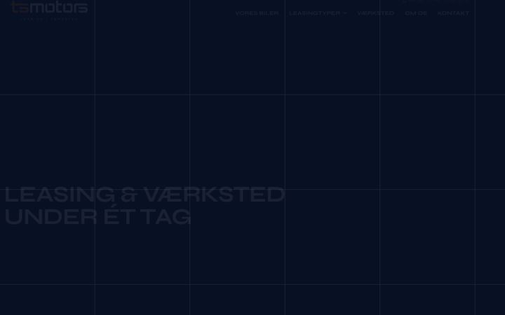 Screenshot von tsmotors.dk