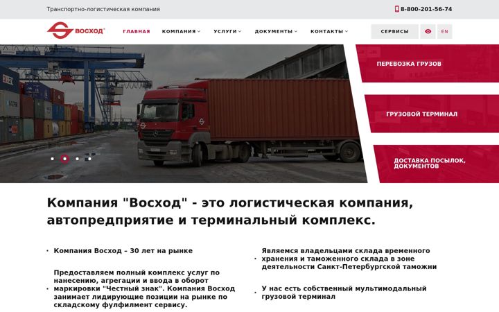 Screenshot of tt-voskhod.ru