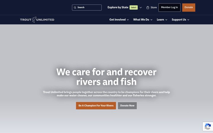 Screenshot of tu.org