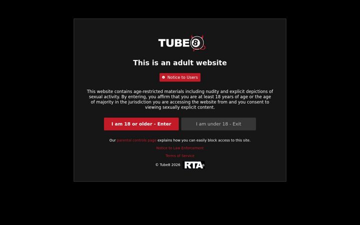 Screenshot von tube8.com