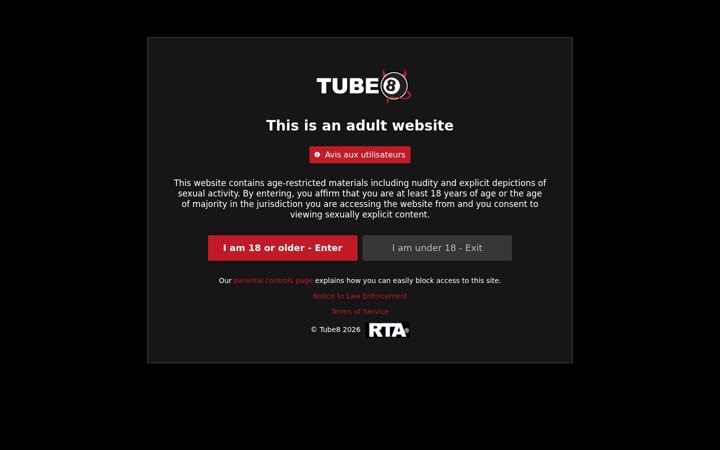 Screenshot ta' tube8.fr