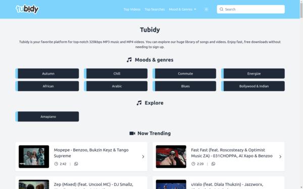 Screenshot of tubidy.llc