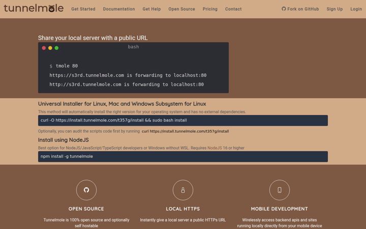 Screenshot of tunnelmole.net