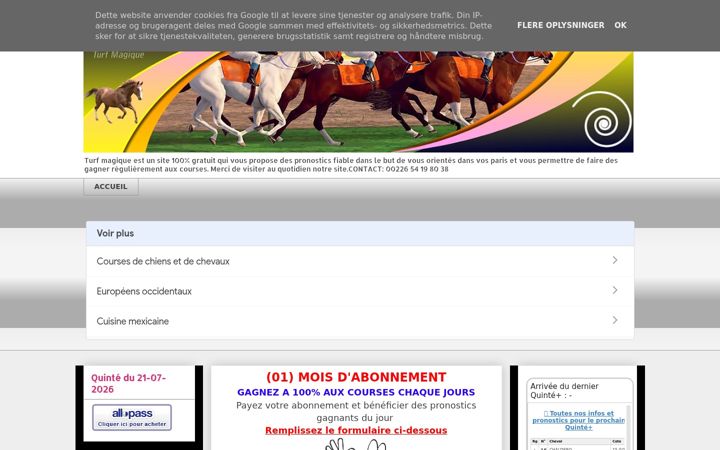 Screenshot of turfmagique.com