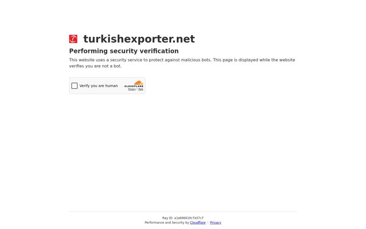 Screenshot of turkishexporter.net