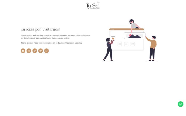 Screenshot of tuseiboutique.com