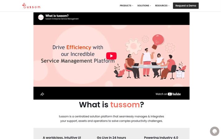 Screenshot of tussom.com