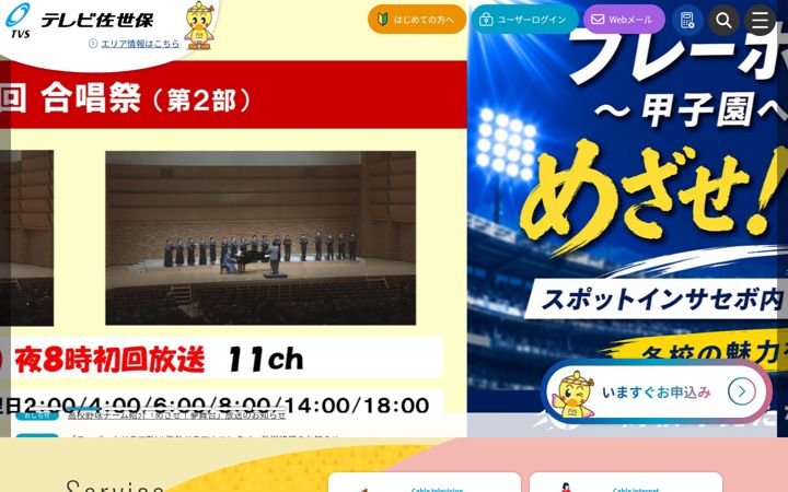 Screenshot of tvs12.jp