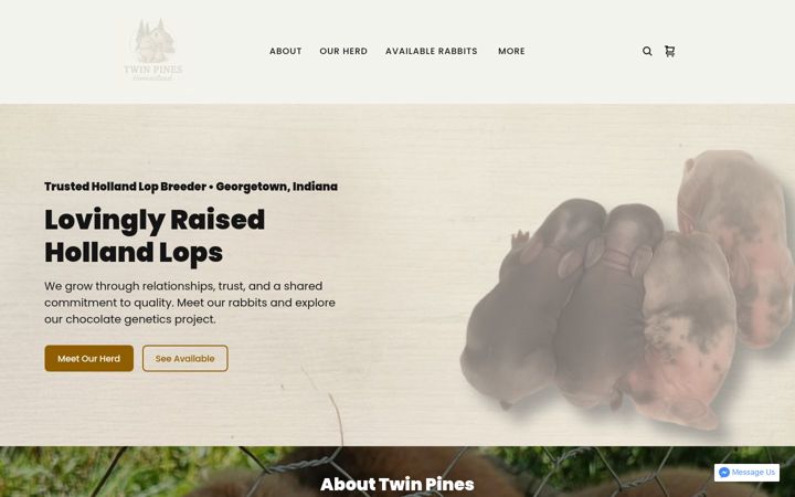 twinpineshollandlops.com