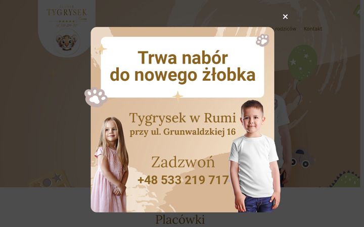 Zrzut ekranu tygrysekrumia.pl