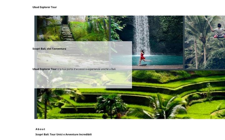 ubud-explorer.com