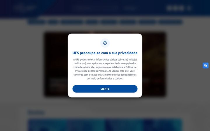 Skjámynd af ufs.br