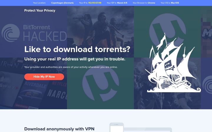 Screenshot of ultimatesurferprotector.com