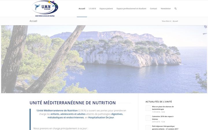Captura de pantalla de umn-marseille.fr