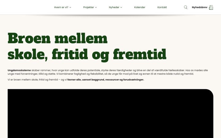 Kuvakaappaus sivustosta ungdomsskolerne.dk