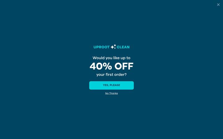 Posnetek zaslona uprootclean.com
