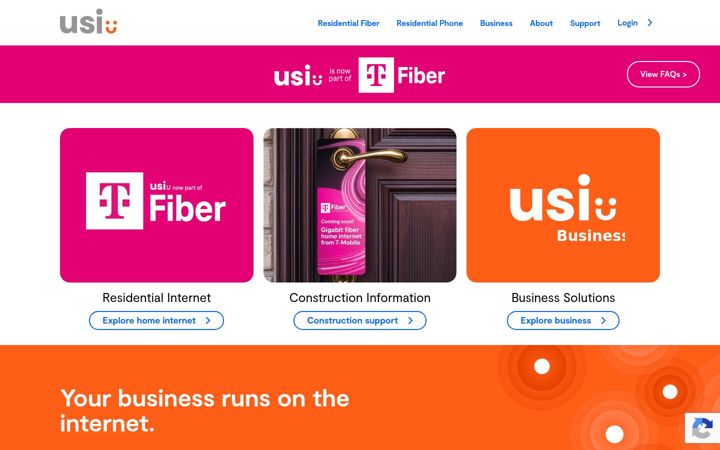 Zrzut ekranu usinternet.com