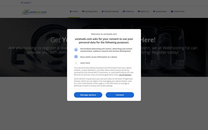 Screenshot of usnetads.com