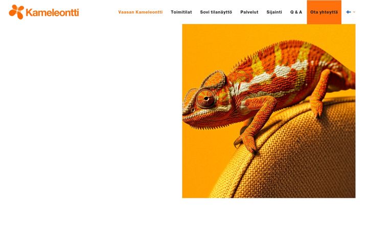 Screenshot of vaasankameleontti.fi