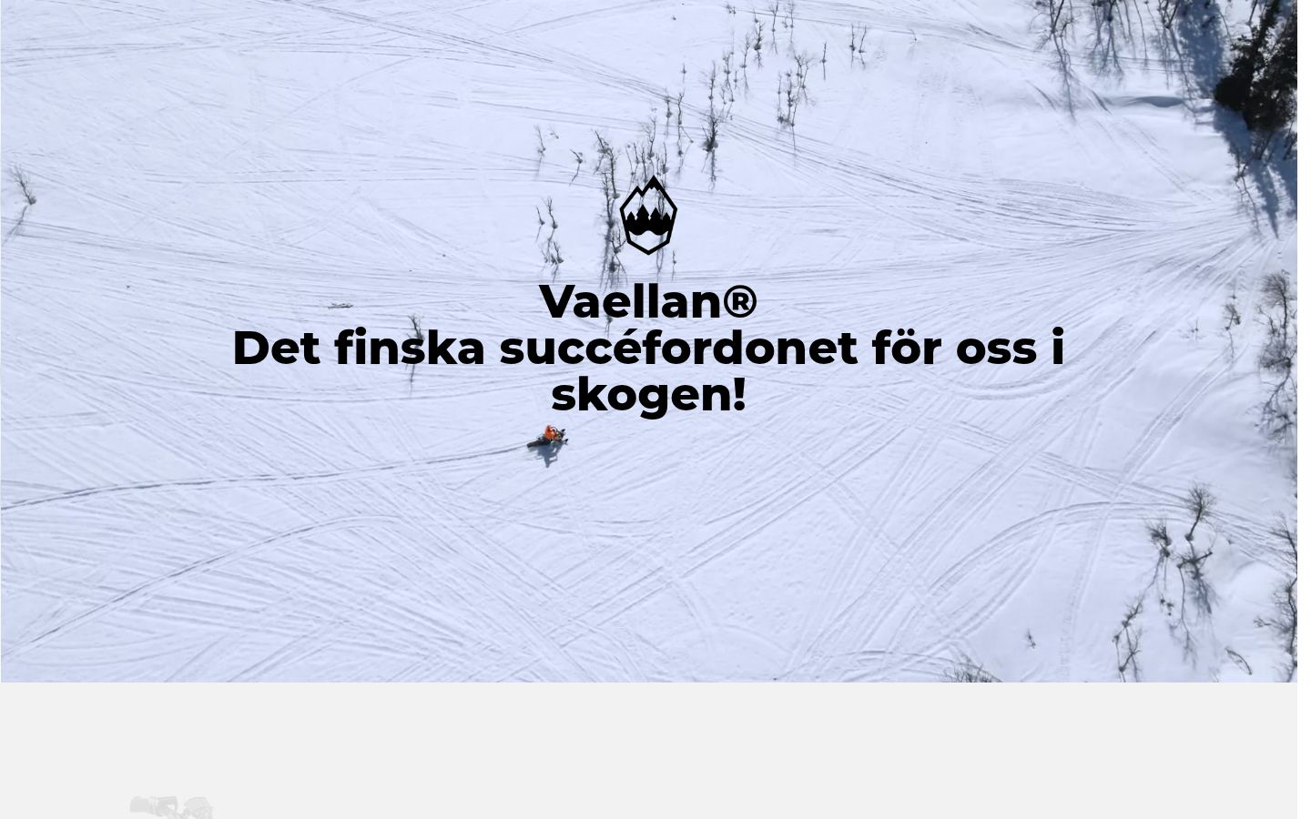 Screenshot van de toestemmingsbanner zoals getoond vóór enige interactie