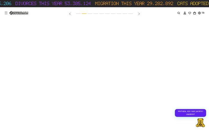Screenshot of vakkorama.com.tr