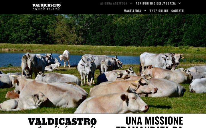 Screenshot of valdicastro.it