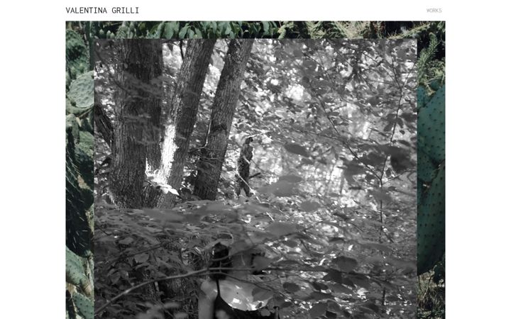 Screenshot of valentinagrilli.net