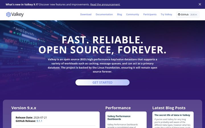 Screenshot of valkey.io