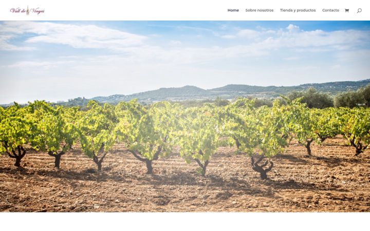 Captură de ecran a valldevinyes.com