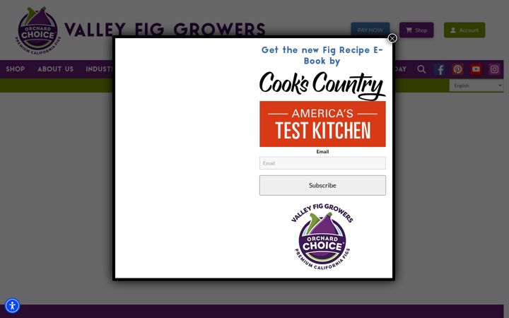 valleyfig.com