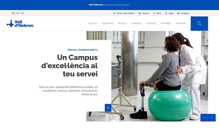 Screenshot of vallhebron.com