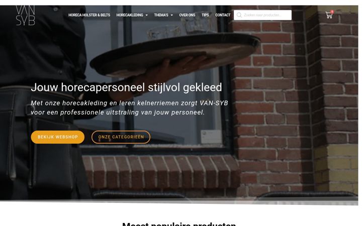 van-syb.com