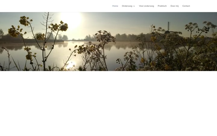 Screenshot of vandenbergsupervisie.nl