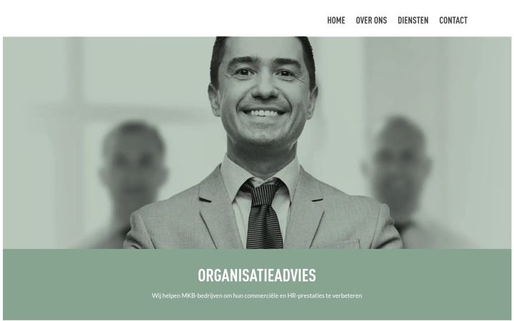 Screenshot of vanstratumadvies.nl