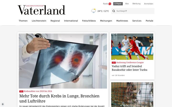 Screenshot of vaterland.li