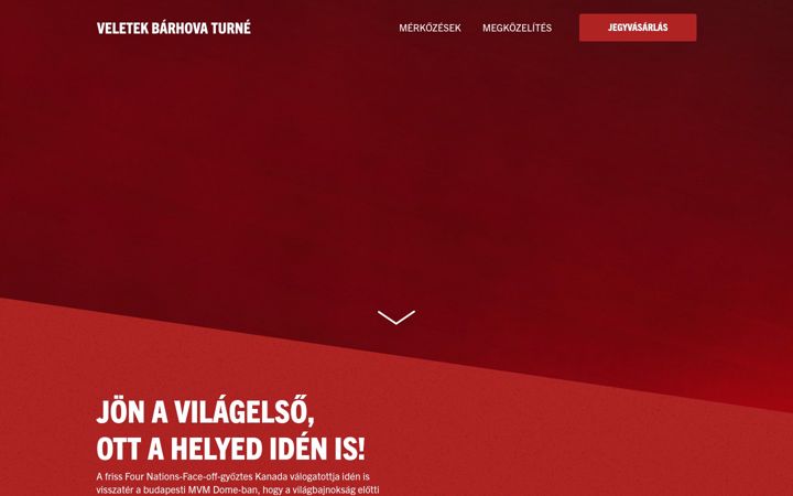 Screenshot of vbturne.hu