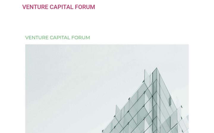 Screenshot of vc-forum.eu