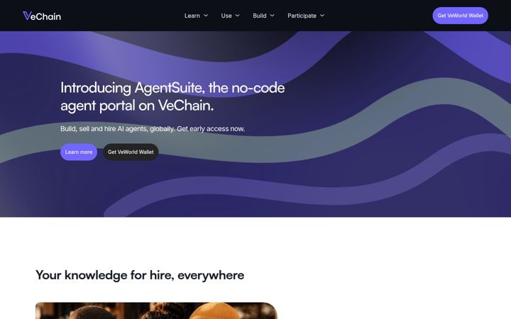 Screenshot of vechain.org