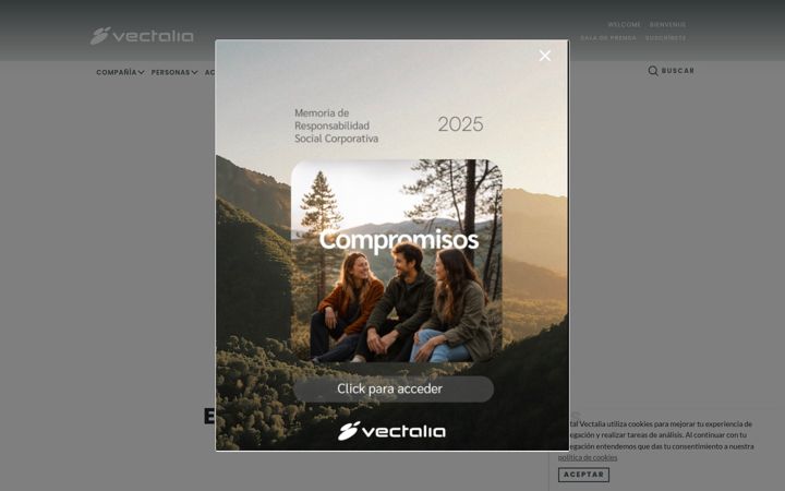 Screenshot of vectalia.es