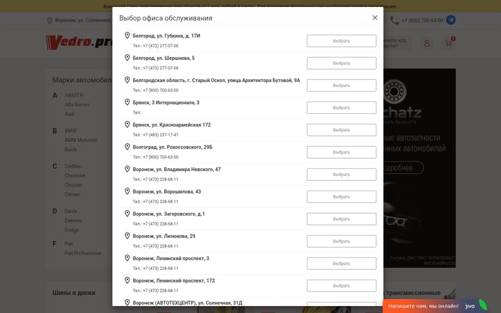 Screenshot of vedro.pro