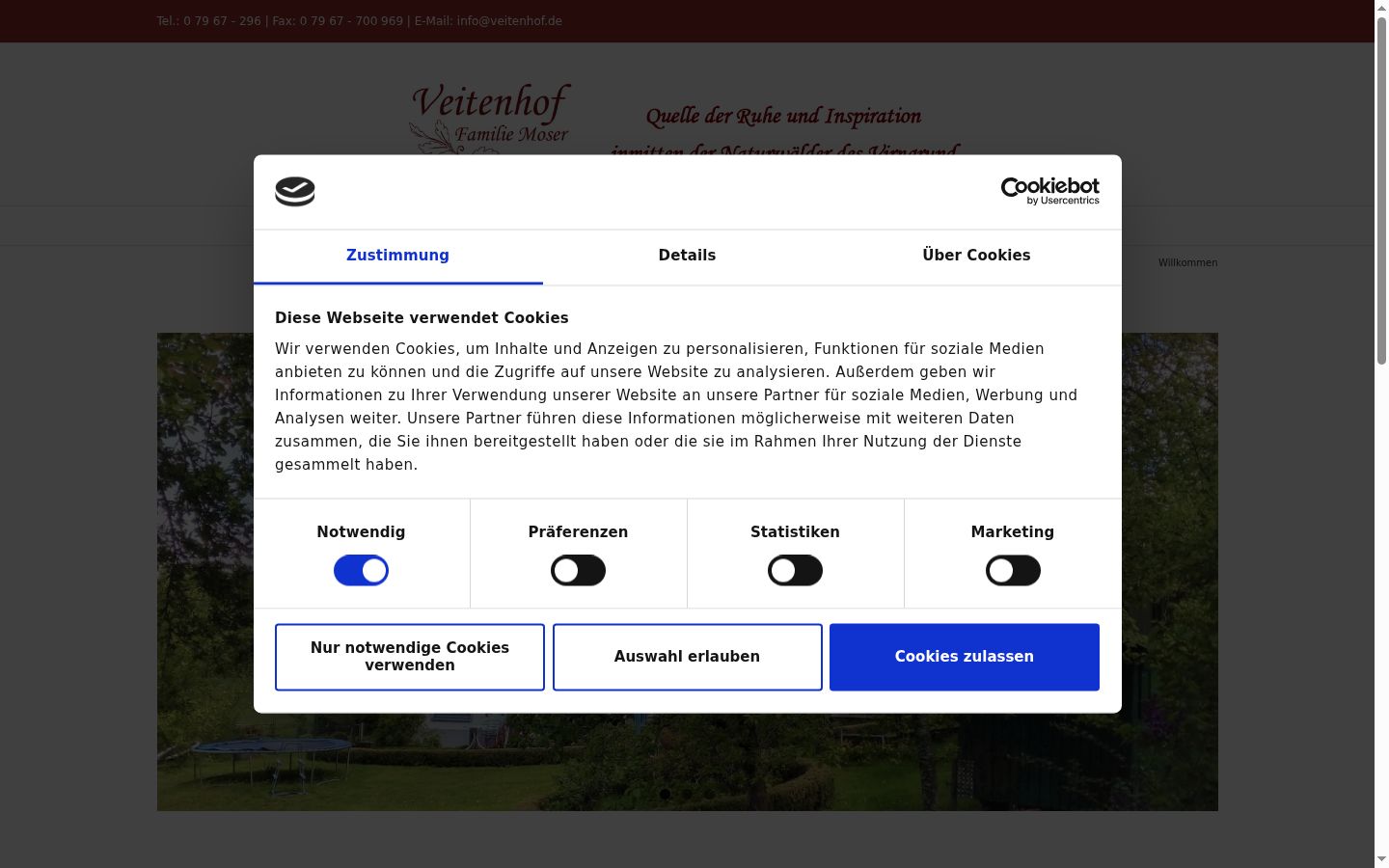 Screenshot van de toestemmingsbanner zoals getoond vóór enige interactie
