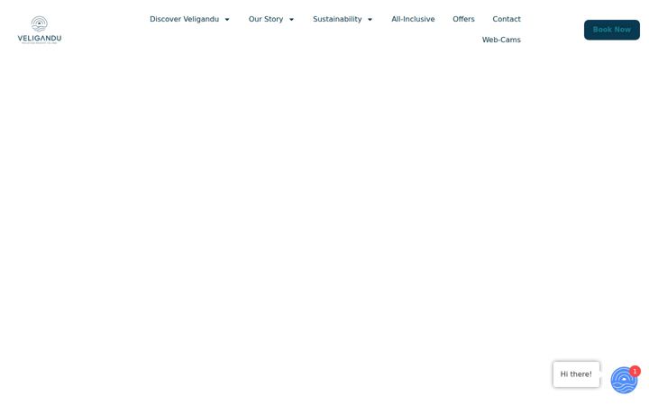 veligandu.com