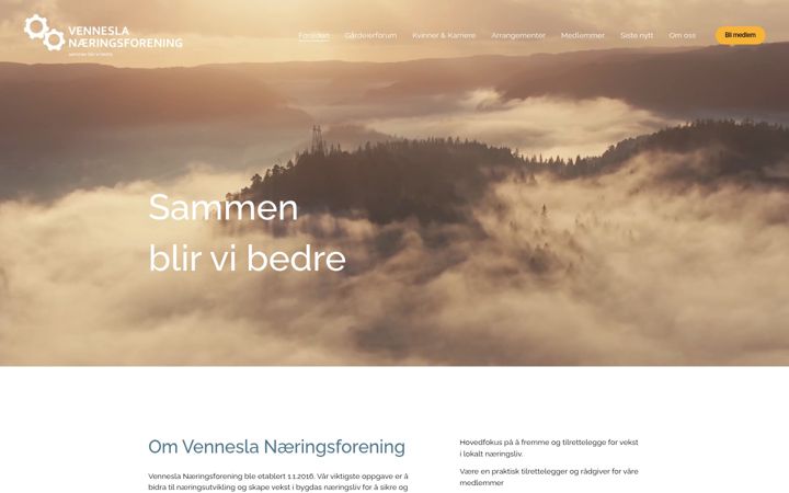 Screenshot of venf.no