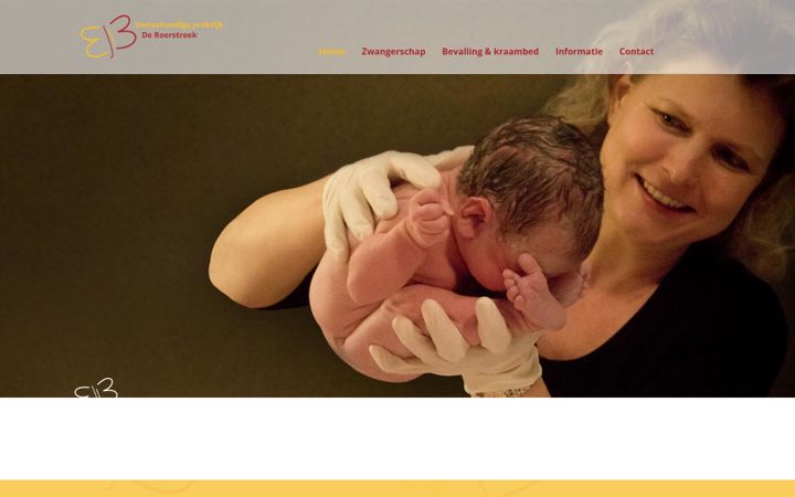 verloskundigepraktijkderoerstreek.nl